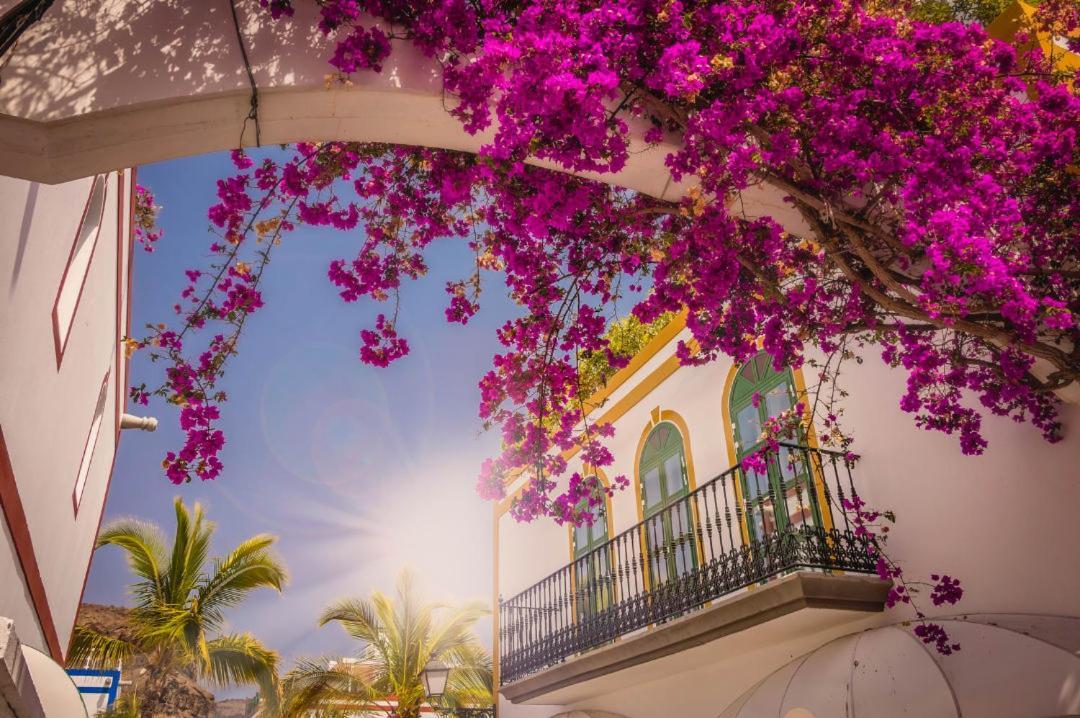 20 Metres From The Sea In Puerto De Mogan Apartamento Exterior foto